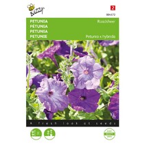 Petunia - Raadsheer