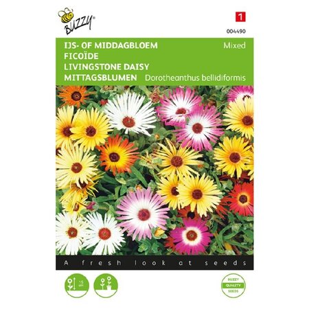 Buzzy Afternoon Flower - Ice Flower - Buy flower Seeds? Garden-Select.com