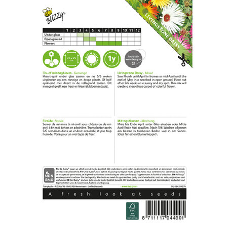 Buzzy Nachmittagsblume - Eisblume - Blumensamen kaufen? Garden-Select.de