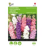 Buzzy Rittersporn - Kaiserlich - Gemischtes Blumensaatgut Kaufen?