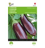 Buzzy Eggplant - Violetta Lunga 2 - Italian Variety - Buy vegetable seeds online? Garden-Select