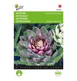 Buzzy Artichoke - Violet De Provence - Buy Vegetable Seeds? Garden-Select.com