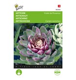 Buzzy Artisjok - Violet De Provence - Groentezaden Kopen? Garden-Select.com