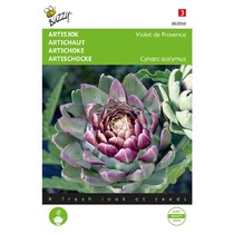 Artichoke - Violet De Provence