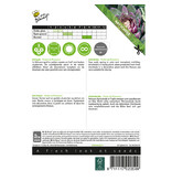 Buzzy Artichoke - Violet De Provence - Buy Vegetable Seeds? Garden-Select.com