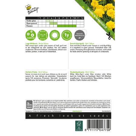 Buzzy Studentenblume - Petite Gelb - Blumensamen kaufen? Garden-Select.de