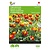 Buzzy French Marigold - Petite Harmony