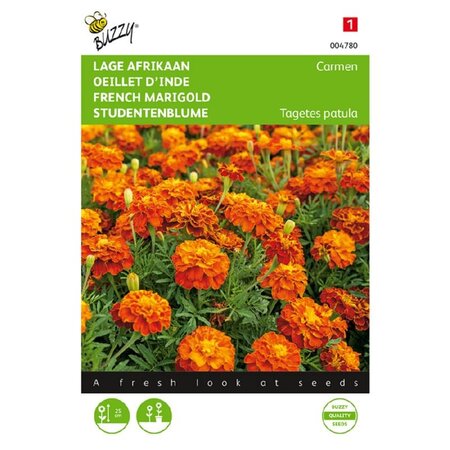 Buzzy French Marigold - Carmen - Buy Quality Flower Seeds? Garden-Select.com