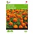 Buzzy French Marigold - Carmen