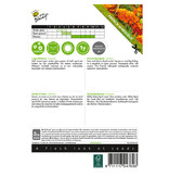 Buzzy French Marigold - Carmen - Buy Quality Flower Seeds? Garden-Select.com