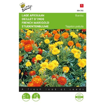 Buzzy Studentenblume - Bonita - Gemischte Blumensamen günstig kaufen? Garden-Select.de