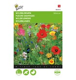 Buzzy Wildflowers - Mix - Buy Mixed Flower Seeds Online? Garden-Select.com