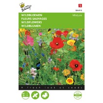 Wildbloemen - Mix