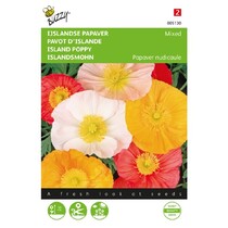 Ijslandse Papaver - Excelsior - Mix