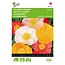 Buzzy Islandsmohn - Excelsior - Gemischte Blumensamen kaufen? Garden Select