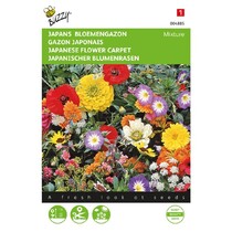 Japanese Flower Carpet - Mix
