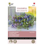 Buzzy Summerflowers - Royal Blue - Buying Cut Flowers For The Vase? - Garden-Select.com