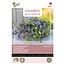 Buzzy Zomerbloemen - Royal Blauw - Snijbloemen Voor De Vaas Kopen? - Garden-Select.com