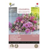 Buzzy Summerflowers - Pretty Pink - Cut Flowers - Buy Flower Seeds Online?