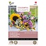 Buzzy Snijbloemen - Marvelous Cut Flowers - Bloemzaden Online Kopen? Garden-Select.com