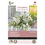 Buzzy Summerflowers - Sweet White - Buy flower seeds online? Garden-Select.com