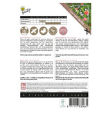 Buzzy Summerflowers - Stunning Pastel - Buy Flower Seeds Online? Garden-Select.com
