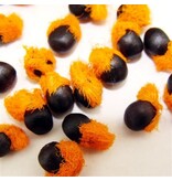 Paradiesvogelblume - Strelitzia Reginea - Exotische / Tropische Haus- und Terrassenpflanze - 10 Samen