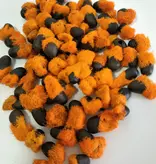 Natal paradijsvogelbloem (Strelitzia nicolai) - Exotische / Tropische Kamer en Terras Plant - 10 Zaden