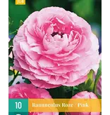 Ranunculus Pink - 10 Bulbs - Buy Summer bulbs - Summer flowering bulbs? Garden Select