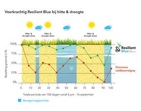 Wat is Resilient Blue van Barenbrug?