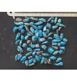 Reizigersboom (Ravenala madagascariensis) - 10 Zaden - Garden Select