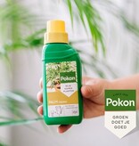 Pokon Palmen Ernährung - 250 ml. - Biologisch - Garden Select