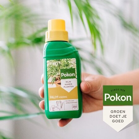 Pokon Palm Voeding - 250 ml. - Biologisch - Garden Select