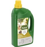 Pokon Houseplant Nutrition -1 litre - For Green Plants - Garden Select