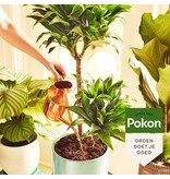 Pokon Houseplant Nutrition -1 litre - For Green Plants - Garden Select