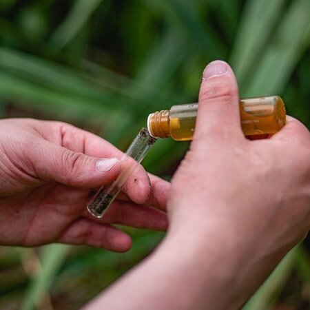 ECOstyle PH Soil Test - 8 Testing - Garden-Select.com