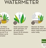 Pokon Water meter for indoor plants