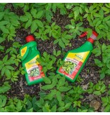 ECOstyle Ultima Giersch