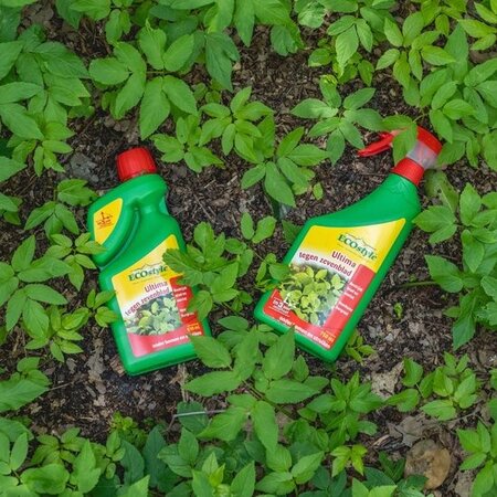 ECOstyle Ultima Giersch