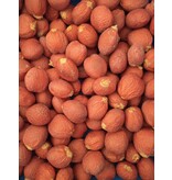 Cycas Revoluta - 5 Zaden - Exotische Palmzaden Kopen? - Garden-Select.com