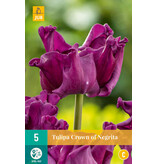 Tulp Crown Of Negrita - Nieuw - 5 Bollen - Paarse Siertulp Kopen?