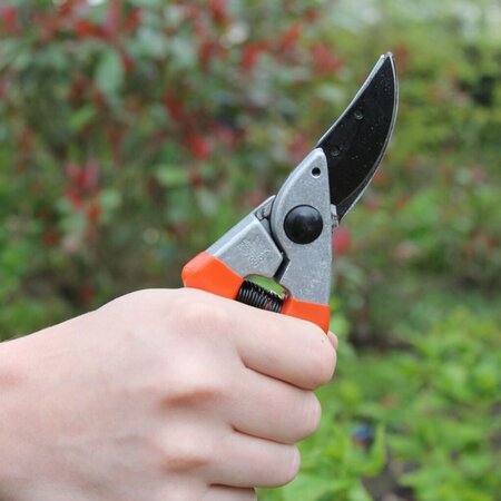 Metallo Professional Pruning Shears - 7 mm