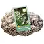 Leucojum aestivum - 40 bulbs - Buying a Spring Snowbell? Garden Select