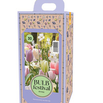 Box Geburtstag Mit 30 Gemischten Blumenzwiebeln