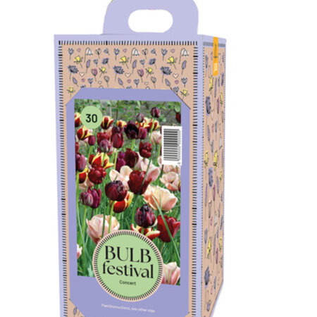 Box Concert With 30 Mixed Bulbs - Gift Items For Everyone