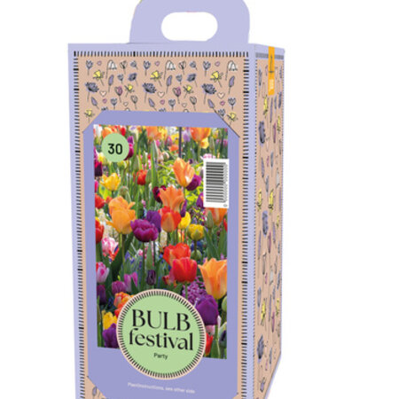 Box Party With 30 Mixed Bulbs - Business Gifts and Gifts