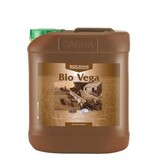 Canna Canna Vega is specially developed for growing in pots or full soil, indoors as well as outdoors.
