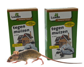 Ongediertebestrijding