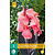Canna Pink Futurity - New - 1 Plant