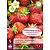 Strawberry plants - Senga Sengana - 5 Plants